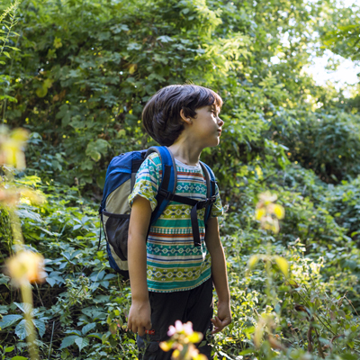 A boy with a backpack walks through the forest, a child explores wildlife, a kid stands alone among the trees, a portrait of a boy.